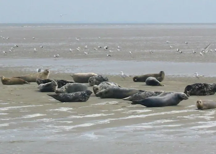 Wiringherlant-6 By Interhome *